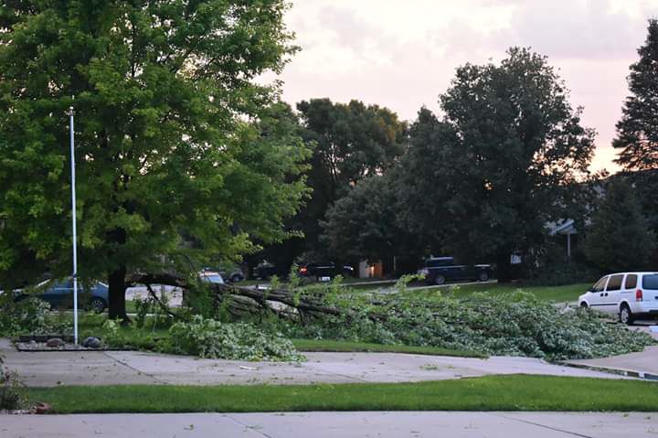 Branch Across the Street